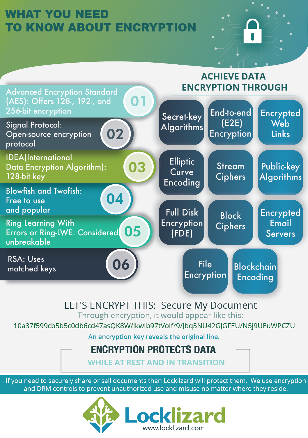 What You Need to Know About Encryption