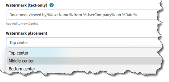 Insert text Watermark